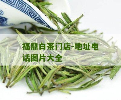 福鼎白茶门店-地址电话图片大全