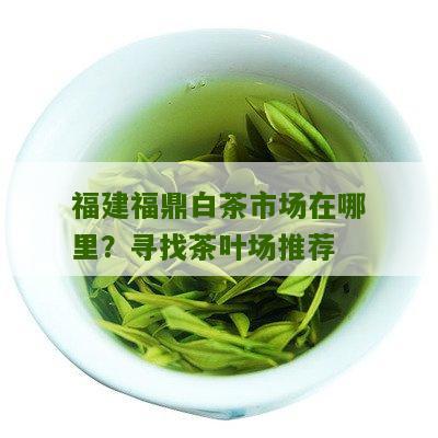 福建福鼎白茶市场在哪里？寻找茶叶场推荐