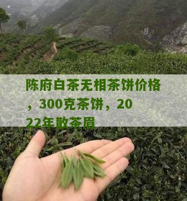 陈府白茶无相茶饼价格，300克茶饼，2022年散茶眉