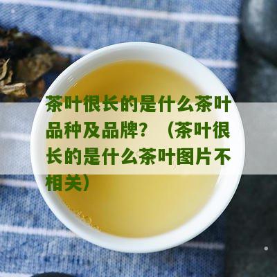 茶叶很长的是什么茶叶品种及品牌？（茶叶很长的是什么茶叶图片不相关）