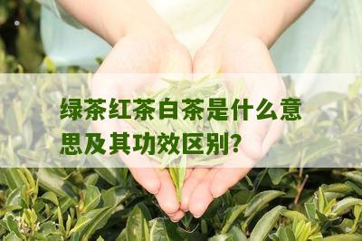 绿茶红茶白茶是什么意思及其功效区别？