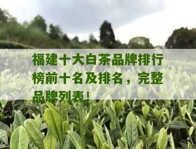 福建十大白茶品牌排行榜前十名及排名，完整品牌列表！