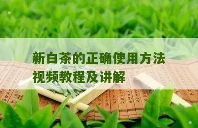 新白茶的正确使用方法视频教程及讲解