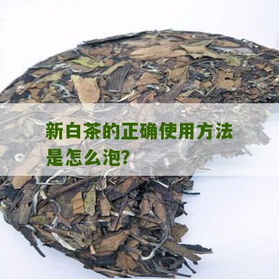 新白茶的正确使用方法是怎么泡？