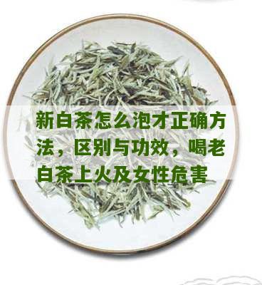 新白茶怎么泡才正确方法，区别与功效，喝老白茶上火及女性危害