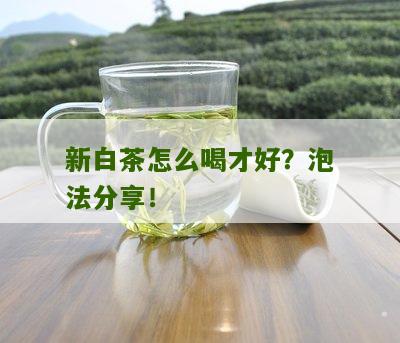 新白茶怎么喝才好？泡法分享！