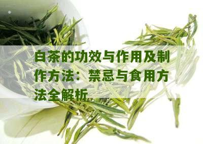 白茶的功效与作用及制作方法：禁忌与食用方法全解析