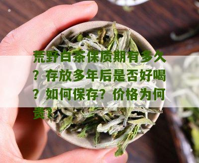 荒野白茶保质期有多久？存放多年后是否好喝？如何保存？价格为何贵？