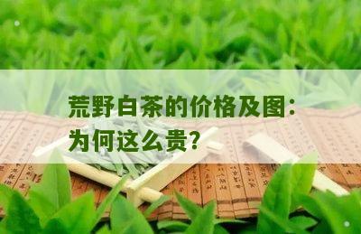 荒野白茶的价格及图：为何这么贵？