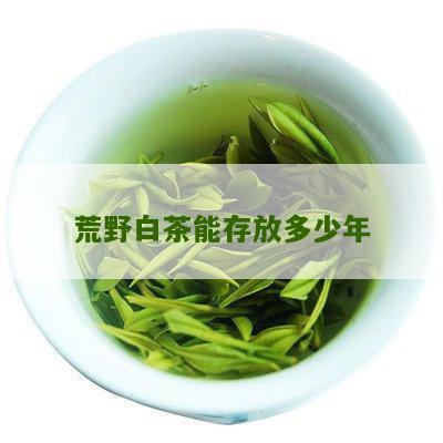 荒野白茶能存放多少年