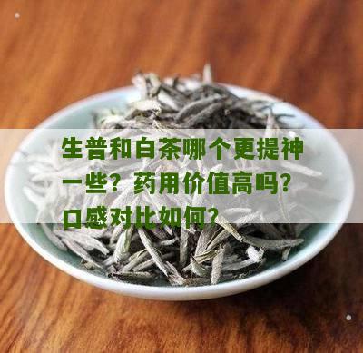 生普和白茶哪个更提神一些？药用价值高吗？口感对比如何？