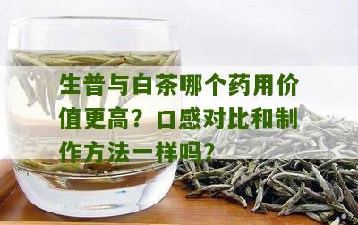 生普与白茶哪个药用价值更高？口感对比和制作方法一样吗？