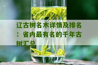 辽古树名木详情及排名：省内最有名的千年古树汇总