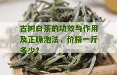 古树白茶的功效与作用及正确泡法，价格一斤多少？