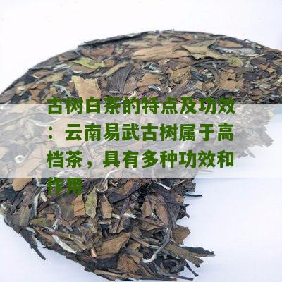 古树白茶的特点及功效：云南易武古树属于高档茶，具有多种功效和作用