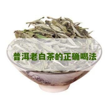 普洱老白茶的正确喝法