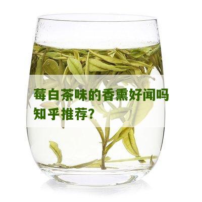 莓白茶味的香熏好闻吗知乎推荐？