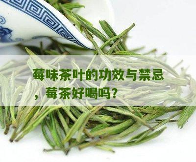 莓味茶叶的功效与禁忌，莓茶好喝吗？