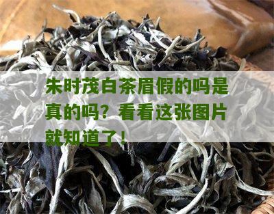 朱时茂白茶眉假的吗是真的吗？看看这张图片就知道了！