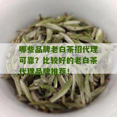 哪些品牌老白茶招代理可靠？比较好的老白茶代理品牌推荐！