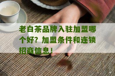 老白茶品牌入驻加盟哪个好？加盟条件和连锁招商信息！