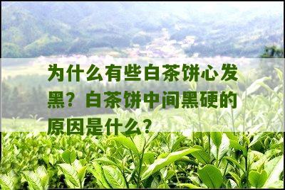 为什么有些白茶饼心发黑？白茶饼中间黑硬的原因是什么？