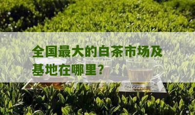 全国最大的白茶市场及基地在哪里？