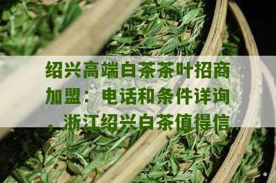 绍兴高端白茶茶叶招商加盟：电话和条件详询，浙江绍兴白茶值得信