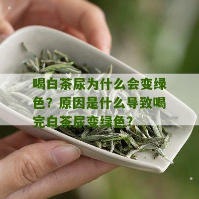 喝白茶尿为什么会变绿色？原因是什么导致喝完白茶尿变绿色？