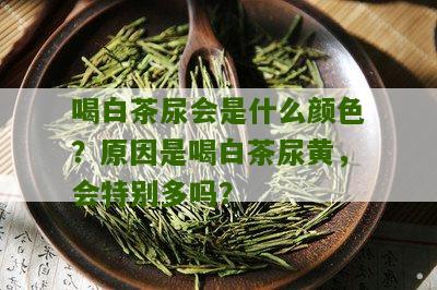 喝白茶尿会是什么颜色？原因是喝白茶尿黄，会特别多吗？