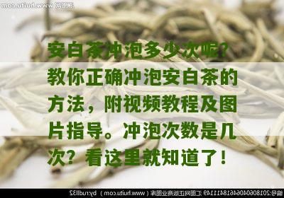 安白茶冲泡多少次呢？教你正确冲泡安白茶的方法，附视频教程及图片指导。冲泡次数是几次？看这里就知道了！