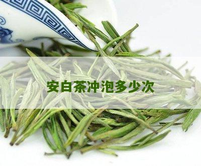 安白茶冲泡多少次