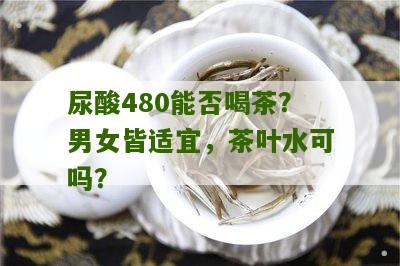 尿酸480能否喝茶？男女皆适宜，茶叶水可吗？