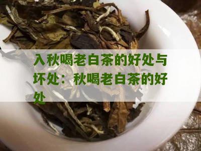 入秋喝老白茶的好处与坏处：秋喝老白茶的好处