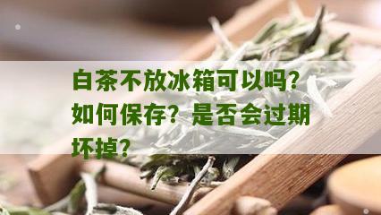 白茶不放冰箱可以吗？如何保存？是否会过期坏掉？