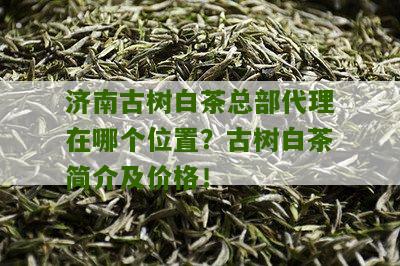 济南古树白茶总部代理在哪个位置？古树白茶简介及价格！