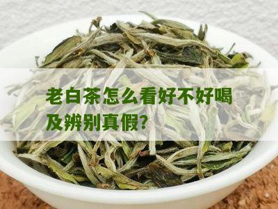 老白茶怎么看好不好喝及辨别真假？