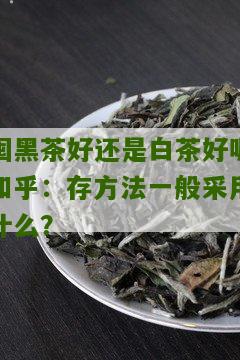 囤黑茶好还是白茶好呢知乎：存方法一般采用什么？