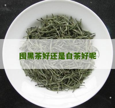 囤黑茶好还是白茶好呢