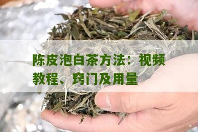 陈皮泡白茶方法：视频教程、窍门及用量