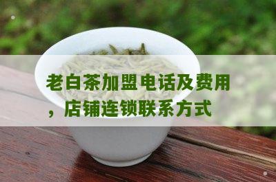 老白茶加盟电话及费用，店铺连锁联系方式