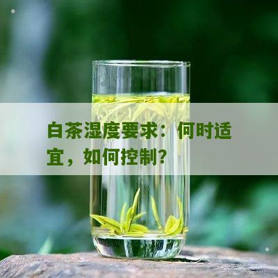 白茶湿度要求：何时适宜，如何控制？