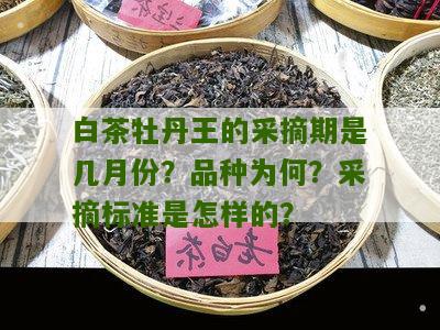 白茶牡丹王的采摘期是几月份？品种为何？采摘标准是怎样的？