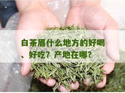 白茶眉什么地方的好喝、好吃？产地在哪？