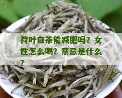 荷叶白茶能减肥吗？女性怎么喝？禁忌是什么？