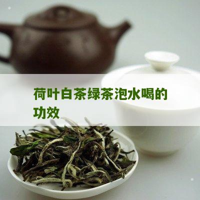 荷叶白茶绿茶泡水喝的功效