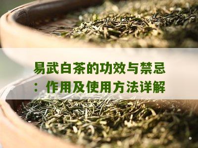 易武白茶的功效与禁忌：作用及使用方法详解