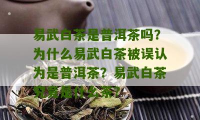 易武白茶是普洱茶吗？为什么易武白茶被误认为是普洱茶？易武白茶究竟是什么茶？