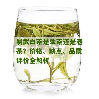 易武白茶是生茶还是老茶？价格、缺点、品质评价全解析