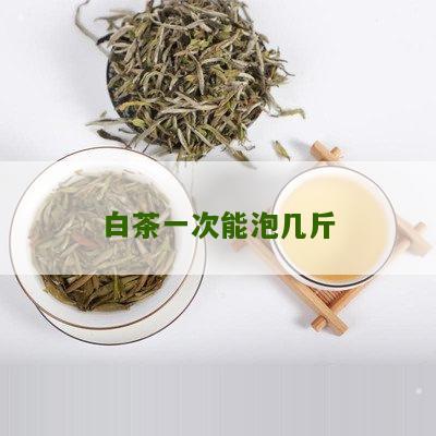 白茶一次能泡几斤